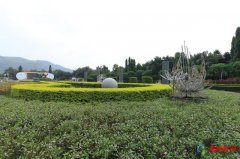 中国十大花卉园,中国十大最美花博园