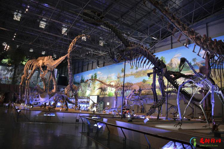 十大著名恐龙遗迹园排行榜 中国十大恐龙化石博物馆