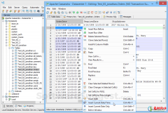 2021年十大好用的数据库管理软件 DBeaver排名第二 Sadas Engine上