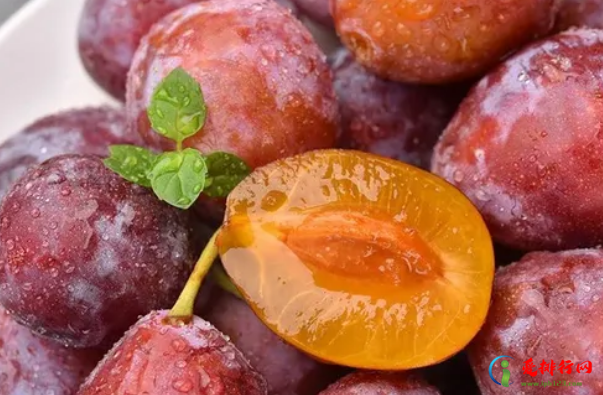 世界最甜的水果排名前十 世界十大最甜水果排行