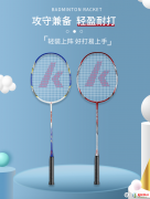 十大名牌羽毛球拍 性价比高的羽毛球拍品牌