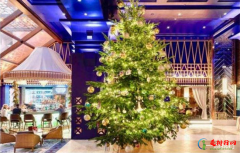 全球最贵圣诞树 价值1190万英镑树上缀满钻石和宝石