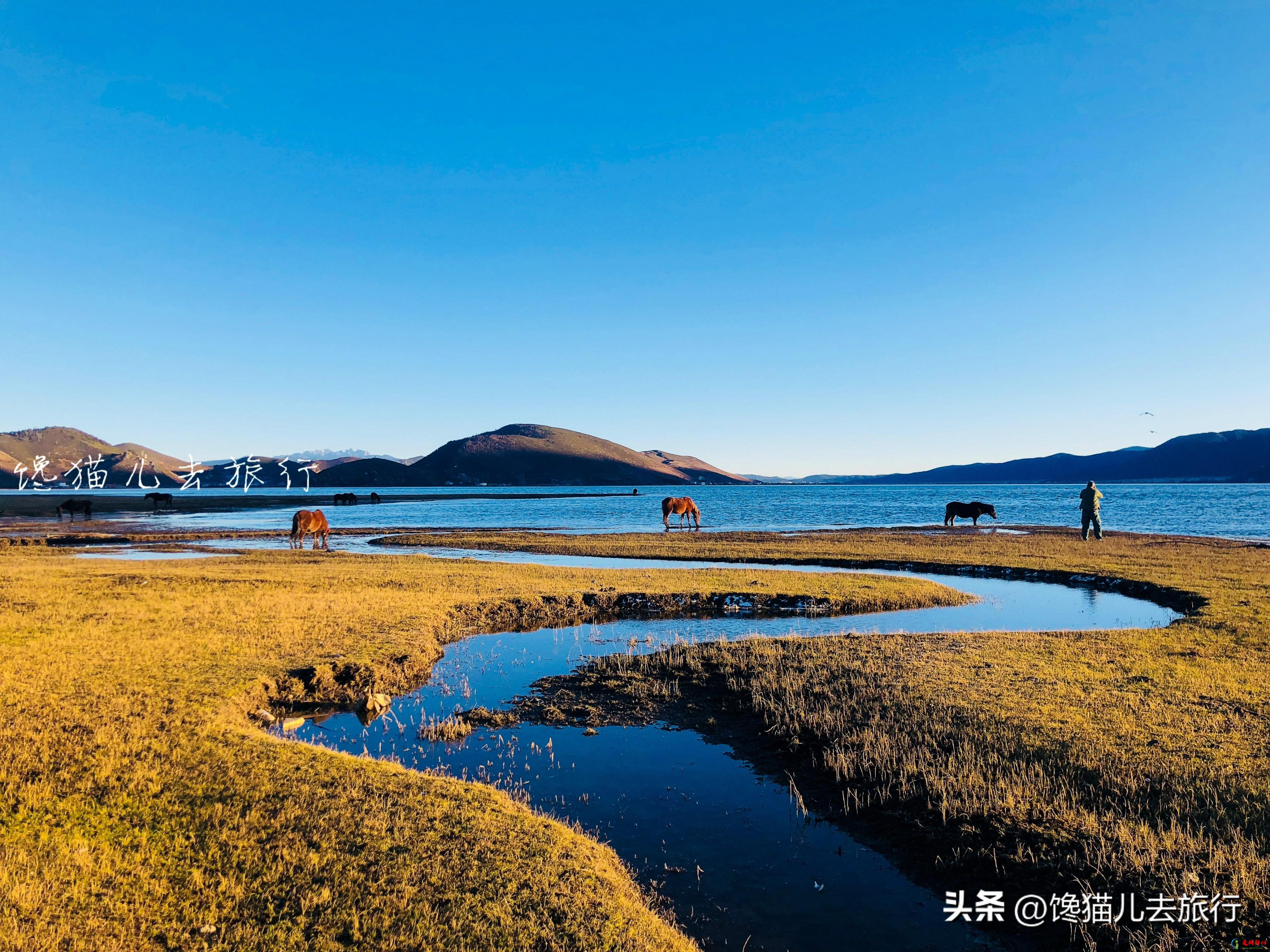 香格里拉必去5个景点 香格里拉最标志性的景色推荐