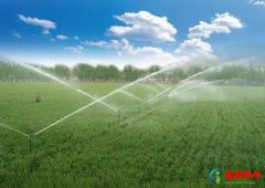 2021年农田补贴在哪个部门去查询？2021年的土